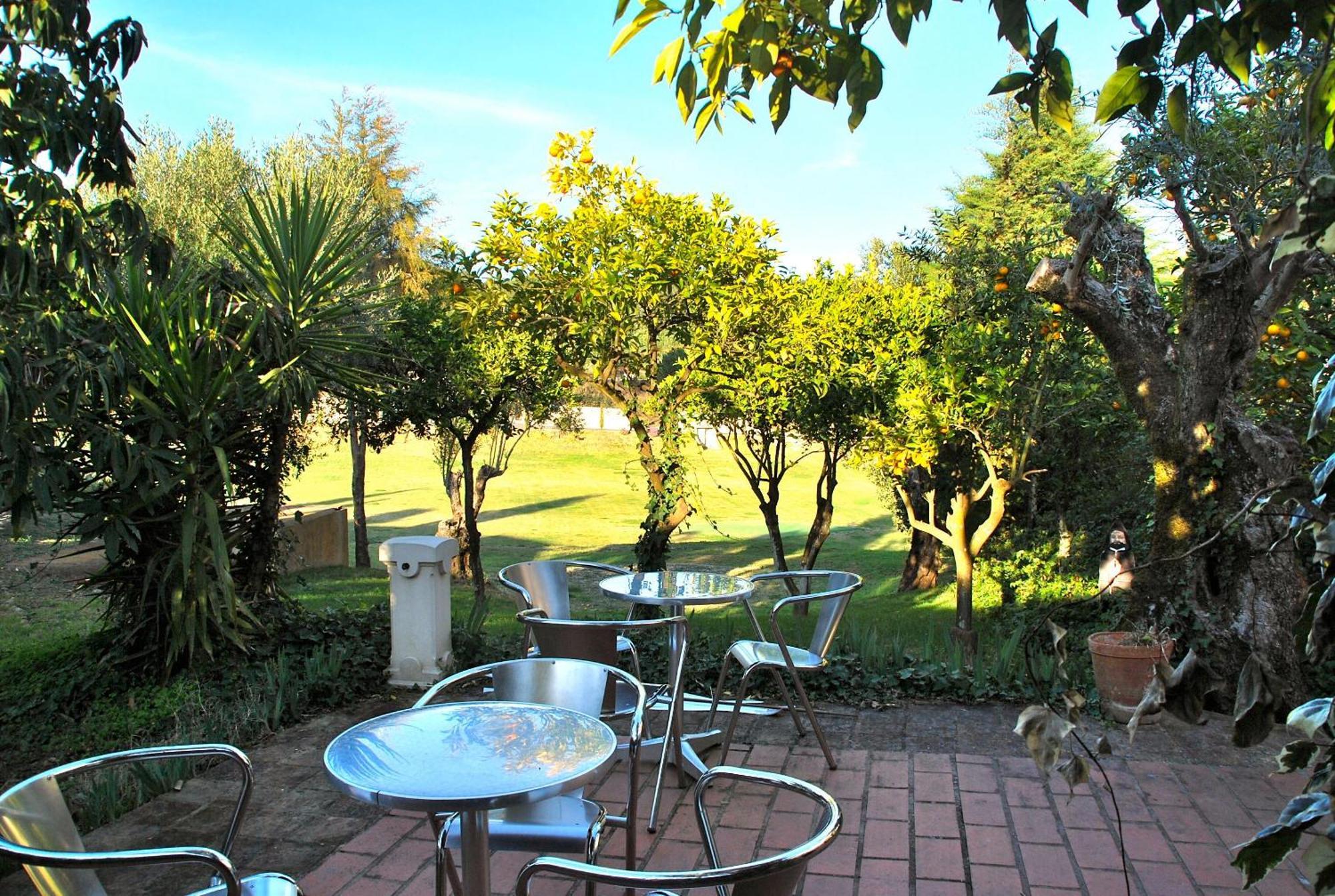 Quinta De Santa Barbara By Heavens Sleepy Constância Exterior foto